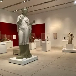 Tampa Museum of Art - Tampa