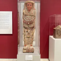 Tampa Museum of Art - Tampa