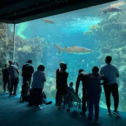 The Florida Aquarium - Tampa