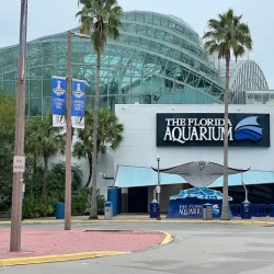 The Florida Aquarium - Tampa