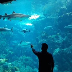 The Florida Aquarium - Tampa