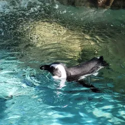 ZooTampa at Lowry Park - Tampa