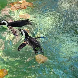 ZooTampa at Lowry Park - Tampa