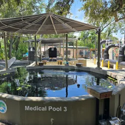 ZooTampa at Lowry Park - Tampa