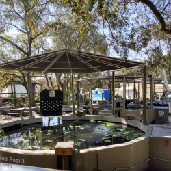 ZooTampa at Lowry Park - Tampa