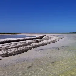 Anclote Key Preserve State Park - Tarpon Springs