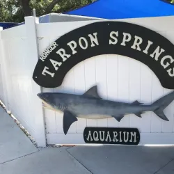 Tarpon Springs Aquarium - Tarpon Springs