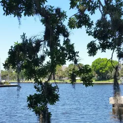 Tarpon Springs Heritage Museum - Tarpon Springs