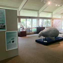 Tarpon Springs Heritage Museum - Tarpon Springs