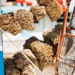 Tarpon Springs Sponge Docks - Tarpon Springs