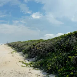 Canaveral National Seashore - Titusville