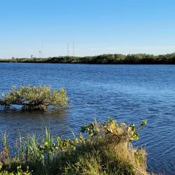 Canaveral National Seashore - Titusville