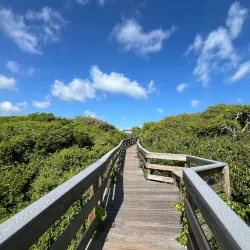 Canaveral National Seashore - Titusville