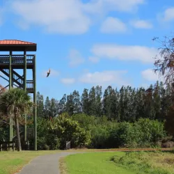 Chain of Lakes Park - Titusville