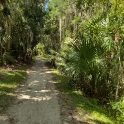 Chain of Lakes Park - Titusville