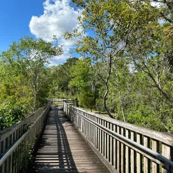 Enchanted Forest Sanctuary - Titusville