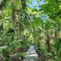 Enchanted Forest Sanctuary - Titusville