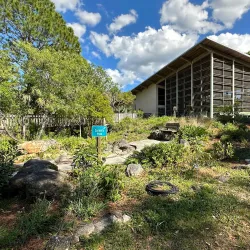 Enchanted Forest Sanctuary - Titusville