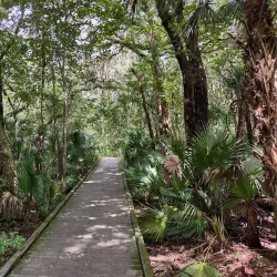 Enchanted Forest Sanctuary - Titusville