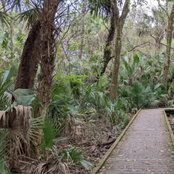 Enchanted Forest Sanctuary - Titusville