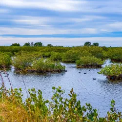 Merritt Island National Wildlife Refuge - Titusville