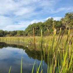 Merritt Island National Wildlife Refuge - Titusville