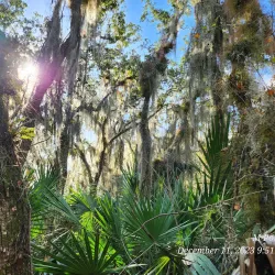 Merritt Island National Wildlife Refuge - Titusville