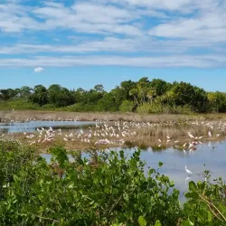 Merritt Island National Wildlife Refuge - Titusville
