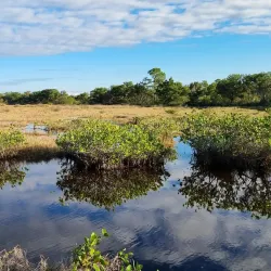 Merritt Island National Wildlife Refuge - Titusville