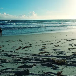 Playalinda Beach - Titusville