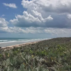 Playalinda Beach - Titusville