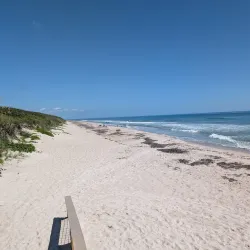 Playalinda Beach - Titusville