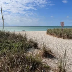 Brohard Paw Park - Venice