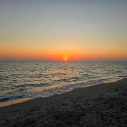 Brohard Paw Park - Venice