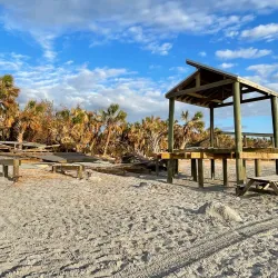 Casper Park - Venice