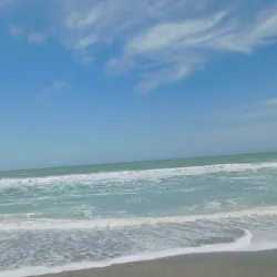 Casper Park - Venice