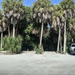 Casper Park - Venice