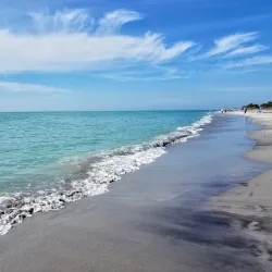 Casper Park - Venice