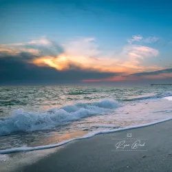 Casper Park - Venice