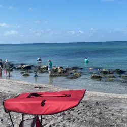 Casper Park - Venice