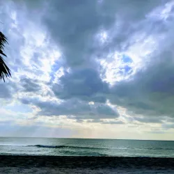 Casper Park - Venice