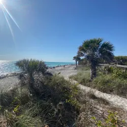 Casper Park - Venice