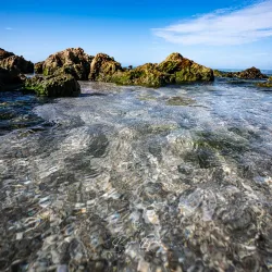 Casper Park - Venice