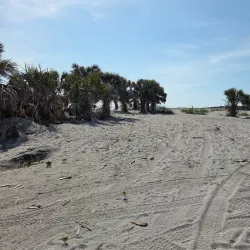 Casper Park - Venice