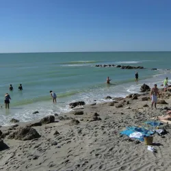 Caspersen Beach - Venice