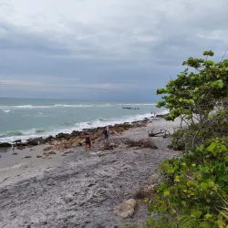 Caspersen Beach - Venice