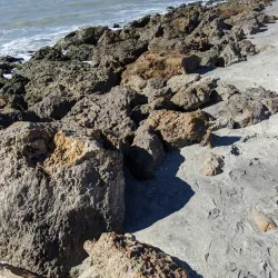 Caspersen Beach - Venice