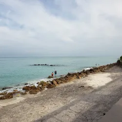 Caspersen Beach - Venice