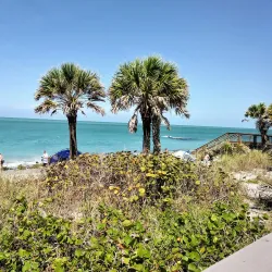 Caspersen Beach - Venice