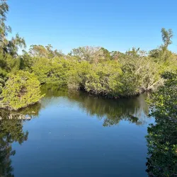 Legacy Trail - Venice